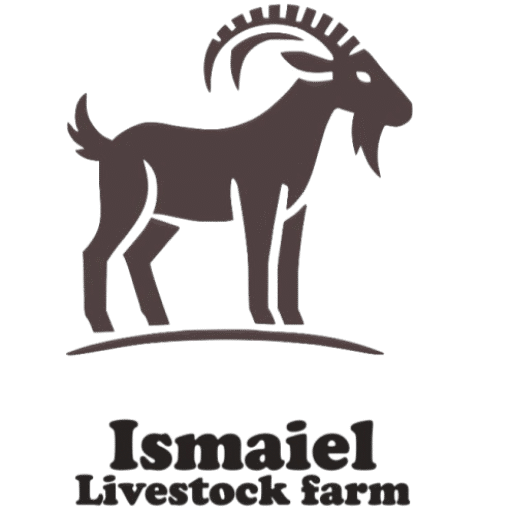 Ahmed livestock farm
